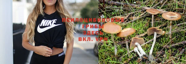 ешки Березники