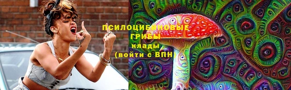 spice Козловка