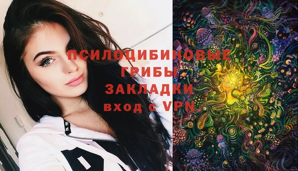 винт Магас
